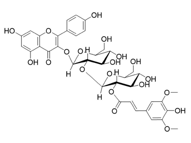 Verantwortlich für den bitteren Geschmack von Rapssaat: Kaempferol 3-O-(2'''-O-sinapoyl-β-sophorosid)  (TUM)