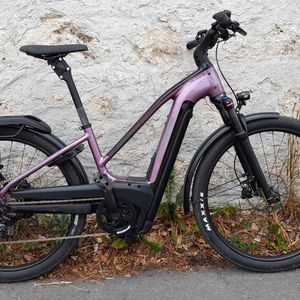 Im Test mit Step-thru-Rahmen: das Trekking-Pedelec Cannondale Tesoro Neo X1 für 4.999 Euro.(Bild:  Rudolf Huber/SP-X)