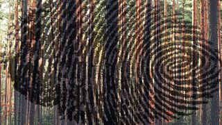 Können Identitäten und Zugriffsrechte in einer Produktionsumgebung unkontrolliert wachsen, haben es potenzielle Angreifer deutlich einfacher, Schaden anzurichten. (Bild: gemeinfrei)