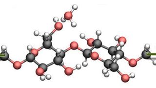 Die Molekülstruktur der Cellulose, auf die Nanowissenschaftler mechanische Kraft ausübten (grüne Pfeile). Dadurch veränderte sich die Hydrolyse-Reaktion stark. (Saeed Amirjalayer et al./Angew Chem)