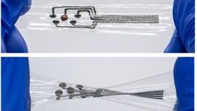 Wei Gao and a team at Caltech have developed a bioelectronic material called a stretchable interface for resilient electrochemical sensing (Sires), meeting a key need for the next generation of wearable and implantable sensors. The photographs show Sires-based bioelectronics under stretching (top) and twisting (bottom). Scale bar is 1 cm. (Source: Wei Gao Lab/ Caltech)