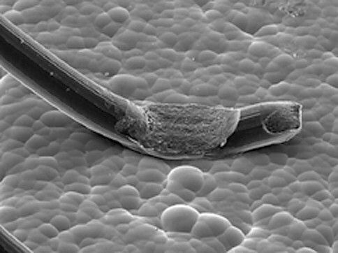 Bild 10: ... anschließend mit weiteren Bauteilen bestücken. (Bild: LPKF)