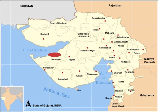 Turnaround at Jamnagar (Picture: PROCESS/Source: Wikimedia Commons)