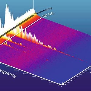 (Xarion Laser Acoustics)