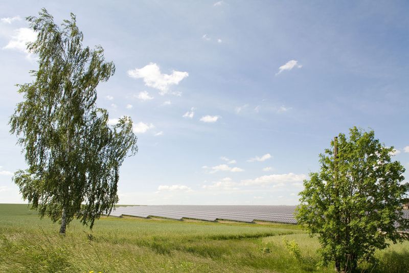 Umweltbewusstsein ist ein Mehrwert: Mit einem eigenen Solarpark in spielt Elobau ein Plus in die CO2-Bilanz ein. Bild: Elobau (Archiv: Vogel Business Media)