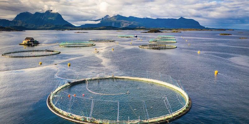 Abb. 1: PFAS können über die Umwelt und Lebensmittel auch in den menschlichen Köper gelangen. Gleichzeitig stellen PFAS aufgrund ihrer hohen Stabilität und Mobilität eine Herausforderung für die Umweltüberwachung dar. (Symbolbild)(Bild: ©  Stanislav - stock.adobe.com)