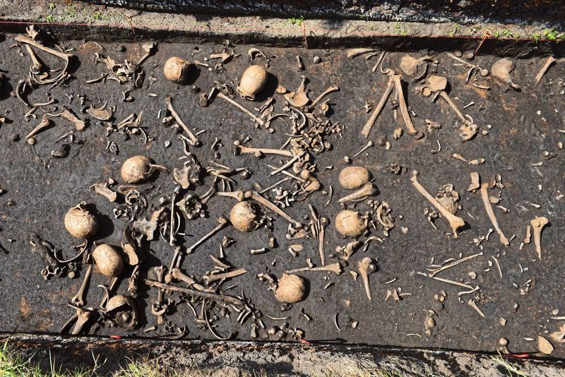 Bisher wurden Gebeine von mehr als hundert Individuen auf dem Schlachtfeld entdeckt.  (Stefan Sauer / Tollensetal-Projekt)
