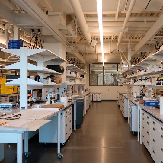 Blick in eines der Entwicklungslabors für Silicone in Ann Arbor, USA. Das Innovationszentrum des Wacker-Konzerns entwickelt High-Tech-Produkte für die Medizintechnik und andere Schlüsselindustrien. Blick in eines der Entwicklungslabors für Silicone in Ann Arbor, USA. Das Innovationszentrum des Wacker-Konzerns entwickelt High-Tech-Produkte für die Medizintechnik und andere Schlüsselindustrien.