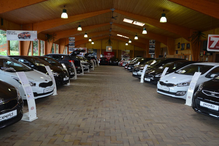 Im vergangenen Jahr verkaufte das Autohaus Reckhaus an zwei Standorten 269 Neu- und 190 Gebrauchtfahrzeuge. (Foto: Preising)