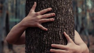 Beim Trunk-based Development liegt der Fokus auf einem Hauptzweig, der permanent in einem produktionsreifen Zustand gehalten werden soll. (Bild: Ekrulila)