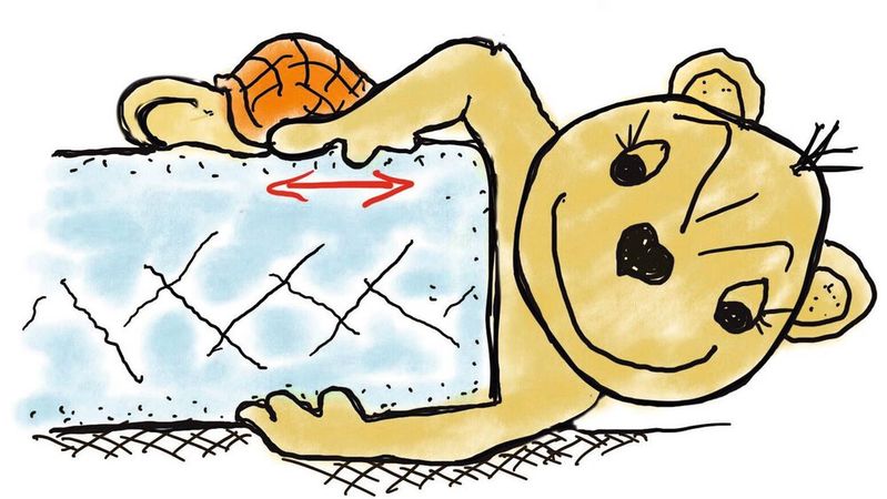 Hier zeigen die Formoptimierungsexperten vom KIT, wie der Zickzack-Riss und der Wechselschub zusammenhängen.(Bild:  Mattheck)