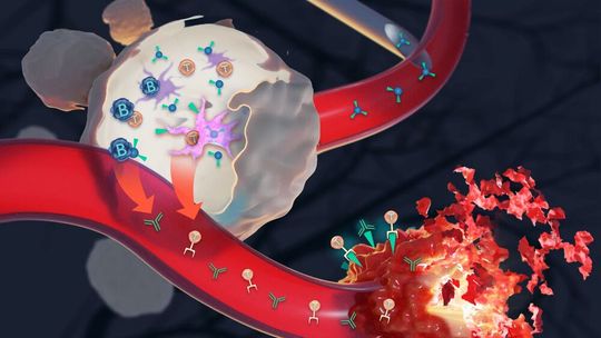 Eine neue Klasse von auf Nanoteilchen basierenden Impfstoffen könnte in einigen Jahren helfen, gegen Krebs zu impfen. Eine neue Klasse von auf Nanoteilchen basierenden Impfstoffen könnte in einigen Jahren helfen, gegen Krebs zu impfen.