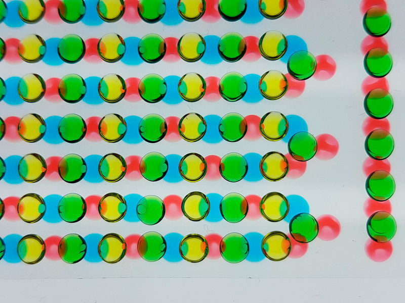 Es wurden abwechselnd hochsalzige und niedrigsalzige Gele (dargestellt in rot respektive blau) auf ein Substrat gedruckt, sowie - ebenfalls abwechselnd - kationenselektive und anionenselektive Gele (grün bzw. gelb) auf ein zweites Substrat. Wenn sie überlagert werden, verbinden sie sich zu einem leitfähigen Weg aus 612 tetramerischen Gelzellen, die zur Erzeugung von bis zu 110 Volt dient. (Thomas Schroeder und Anirvan Guha)