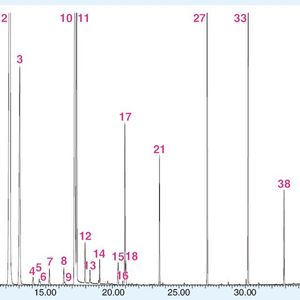 Abb. 2: Headspace-Chromatogramm eines gereiften Whiskeys (Signalzuordnung s. Tabelle 1). 