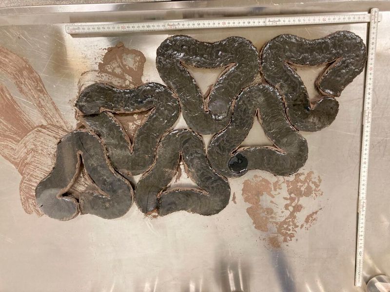 Die dreieckige, geometrische Form lässt sich gut zum Straßenbau verwenden. (Bild: PAVER Consortium)