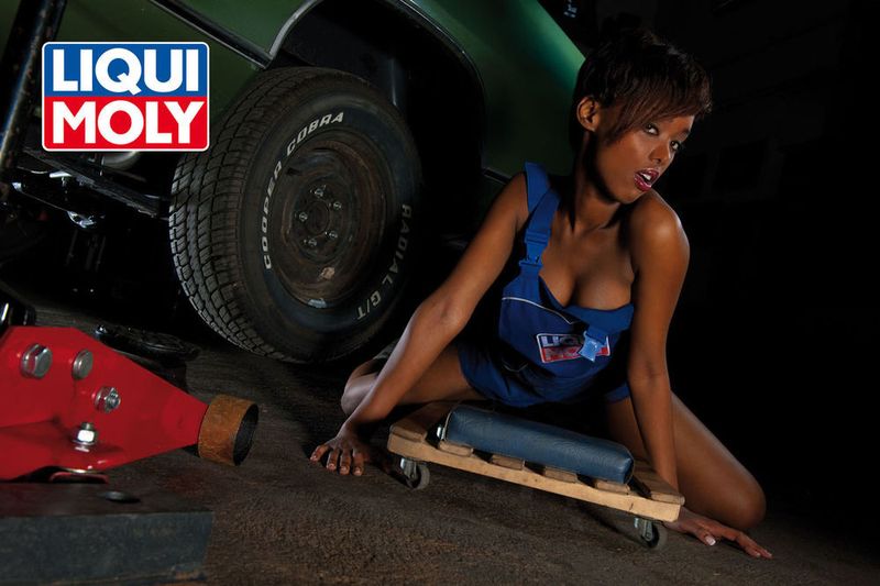 LIQUI MOLY Werkstattkalender 2010 (LIQUI MOLY GmbH)