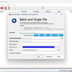 Mit DownZemAll können Anwender auch mehrere Daten gleichzeitig als Batch herunterladen.(Bild:  Joos (Screenshot))