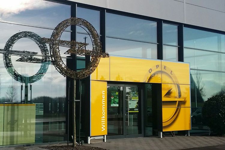 Bäume im Fabrikatslogo-Schnitt kommen aus der Baumschule Bruns bei Oldenburg. (Bild: Autohaus Peter)