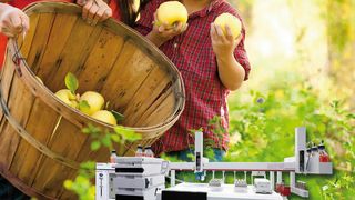 Im Obstanbau kommen häufig Herbizide zum Einsatz, die Phenylharnstoffe oder Triazine enthalten. Im Rahmen der Lebensmittlekontrolle bedarf es einer effizienten Analytik auf mögliche Rückstände. (Bild: Gerstel)