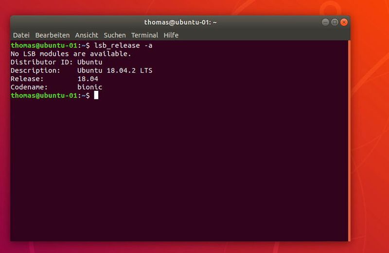 Die installierte Linux-Distribution und -Version kann im Terminal angezeigt werden. (Joos / Ubuntu)