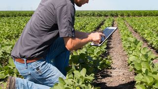 Softwarelösungen für die Landwirtschaft zählen zu den Schwerpunkten des brasilianischen Ag-Ventures II Fonds. (Bild: BASF)