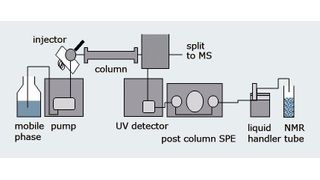 Abb. 1: Schematische Darstellung des verwendeten LC-SPE-NMR/MS-Systems.  (Bild: Bruker Biospin)