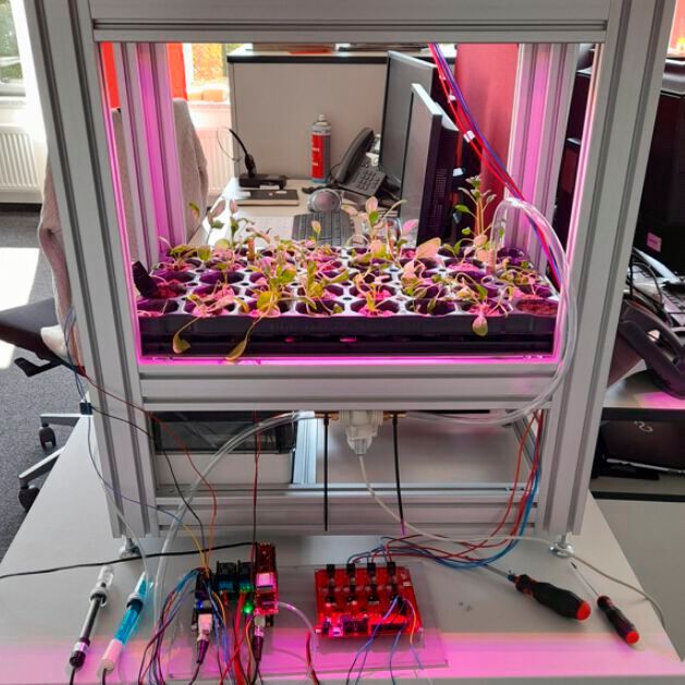 Vertical Farming: IoT-Technologie und nachhaltige Agrarproduktion