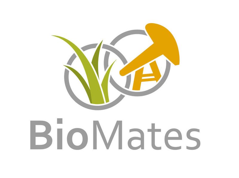 Das Forschungsprojekt Biomates will hochwertige biobasierte Einsatzstoffe für den erdölverarbeitenden Raffinerieprozess herstellen und die sofortige Verarbeitung ermöglichen. (Fraunhofer Umsicht)