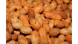 A new treatment could protect against peanut and other food allergies. (Source: Pixabay)