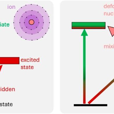 Anders als andere Atome (l.) hat Ytterbium-173 (r.) einen großen Kernspin und einen stark deformierten Kern, dessen starke Felder mit der Elektronenhülle wechselwirken. Dadurch werden verbotene Quantensprünge zu erlaubten Übergängen (s. rotgrüner Pfeil „slightly allowed“). Damit lässt sich der Übergang leichter mit einem Laser anregen.  (Bild: PTB)