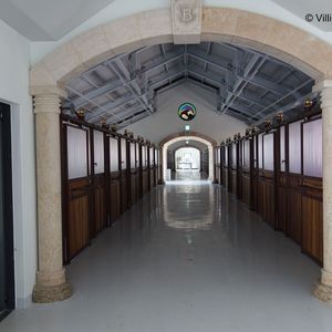 Ein Luxus-Gestüt in der Nähe der südkoreanischen Stadt Seoul wird mit einer neuen Entmistungsanlage ausgestattet.