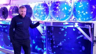Alexander Dressel und sein Team bieten 17 verschiedene Quallenarten an, von leicht zu haltenden Ohrenquallen bis hin zu beeindruckenden Kompassquallen.  (Bild: Jumo)