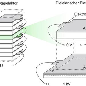 Skizzierter Aufbau eines künstlichen Muskels: Elementare DEA werden zu Stapelaktoren zusammengefasst, welche wiederum gebündelt einen künstlichen Muskel bilden.