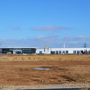 Auf der grünen Wiese ...(Foto:  Michel)