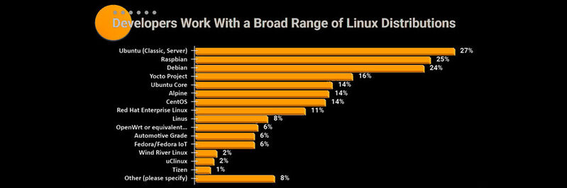 Entwicklerinnen und Entwickler nutzen eine Vielzahl an Linux-Distributionen.