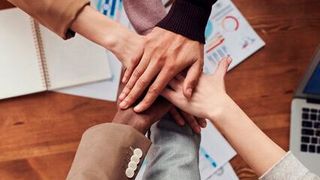 Marketing-Teams überleben nicht nur in der momentane Situation, sondern blühen regelrecht auf.  (Bild: gemeinfrei)