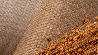 Das Schweizer Unternehmen Bcomp stellt Hochleistungs-Naturfaserverbundwerkstoffe her – unter anderem für die Mobilität.  (Bild: Bcomp)