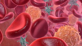 Das Protein Hämoglobin der roten Blutkörperchen beeinflusst offenbar das Zusammenklumpen einzelner Gold-Nanopartikel. (© dermatzke - Fotolia)