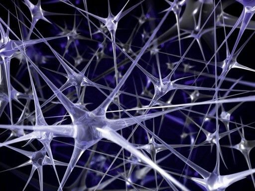 Elektroaktive Polymere ändern ihre Größe oder Gestalt, wenn sie durch ein elektrisches Feld angeregt werden. (Bild: Bayer)