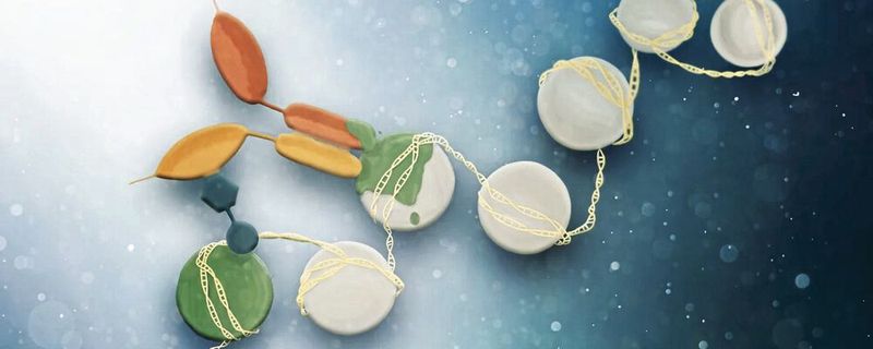 Illustration des Read-Write-Mechanismus, bei dem die Reader-Seite (blau) ein bereits mit Ubiquitin (grün) markiertes Nukleosom erkennt und bindet, während die Writer-Seite (gelb-orange) auf ein noch leeres Nukleosom malt.(Bild:  Tamara Bäßler, MPI für Biochemie (Teilelemente adaptiert von AdobeStock GCapture))