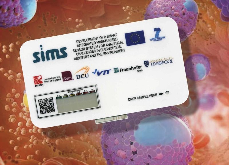 Zum ersten Mal hat sich das Fraunhofer-Institut für Elektronische Nanosysteme ENAS auf der Compamed präsentiert: Die flexible Karte mit integrierter gedruckter Batterie, Display und Biosensor wurde als Einwegtest für die Messung des Cholesteringehalts im Blut entwickelt. Das Konsortium von Partnern aus ganz Europa treibt in der aktuellen Projektphase die Integration der Elektronik voran. (Bild:  Fraunhofer ENAS)