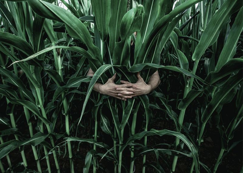 (Quelle:  Paul, Uwe – stock.adobe.com)