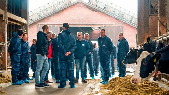 Im Rahmen des Projekts „Klimahöfe“ untersuchen Dr. Oetker, Molkerei Gropper und Moers Frischeprodukte wie die Milchproduktion nachhaltiger werden kann.(Bild:  Dr. Oetker)