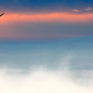 Gearbox damage brings wind turbines to a standstill. The "Winclusion" research project therefore aims to improve the forecast for the service life of wind gearboxes. (Image:Claudia Hinz/Pixabay)