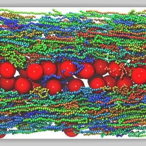 Simulationsschnappschuss von einem Kolloid-Polymer-Gemisch unter Fluss: Die Kolloide haben sich in das Zentrum des Kanals abgesetzt.