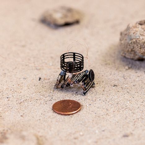 A 3D-printed “meta-bot” developed by UCLA engineers is capable of propulsion, movement, sensing and decision-making. It is manufactured all at once by a new type of 3D printing process for engineered active materials with multiple functions (also known as metamaterials). A 3D-printed “meta-bot” developed by UCLA engineers is capable of propulsion, movement, sensing and decision-making. It is manufactured all at once by a new type of 3D printing process for engineered active materials with multiple functions (also known as metamaterials).