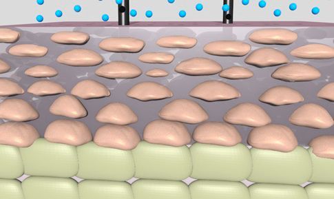 Wasserdampf trifft auf menschliche Haut (Bild: Empa)