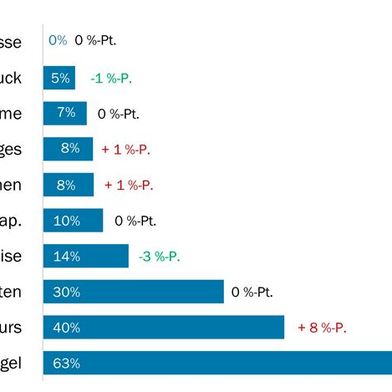 Grösste Herausforderungen (Bild: BAK Economics, Swissmechanic Quartalsbefragung)