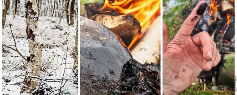 Wissenschaftler haben für eine Studie Birkenpech mit Methoden hergestellt, die schon Neandertaler nutzen, um dessen antibakterielles Potenzial zu analysieren. (Bild:  Tjaark Siemssen)