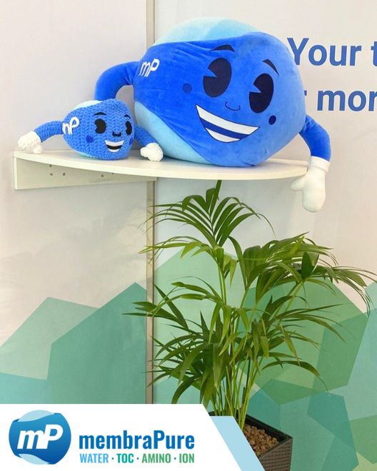 6 (membraPure GmbH)